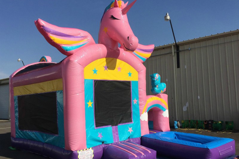 wet and dry inflatable bouncers