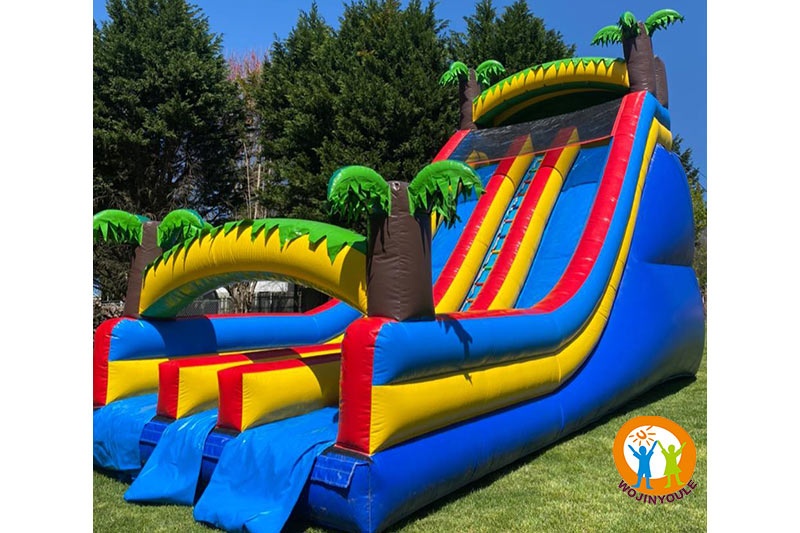 DS097 20ft Tropical  Double Lane Inflatable Dry Slide