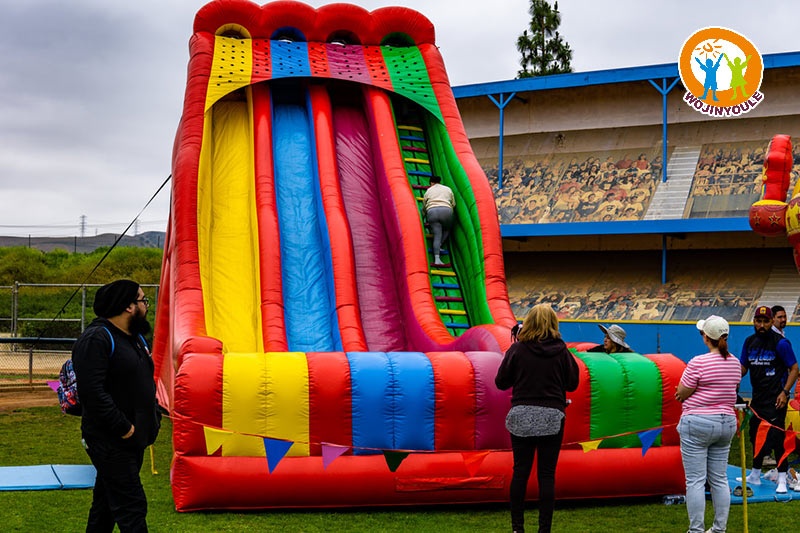 DS260 26ft High Carnival Tripe Lane Slide Inflatable