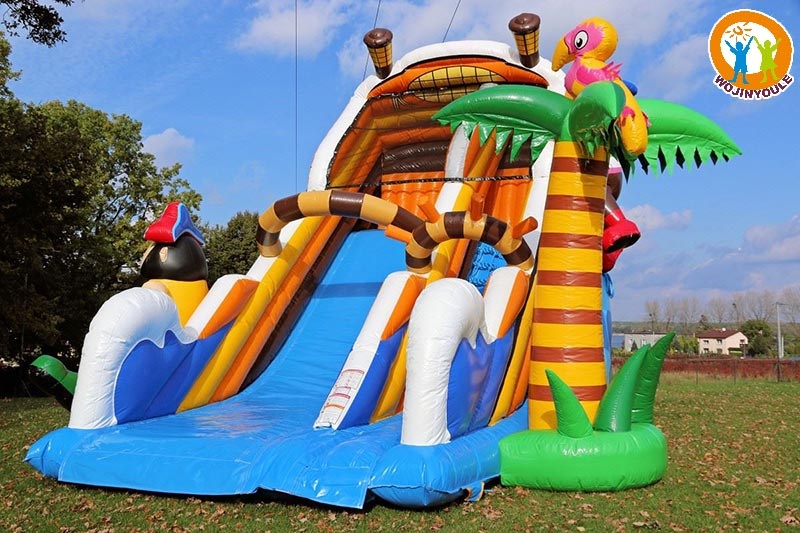 DS265 20ft Tall Pirate Theme Inflatable Dry Slide