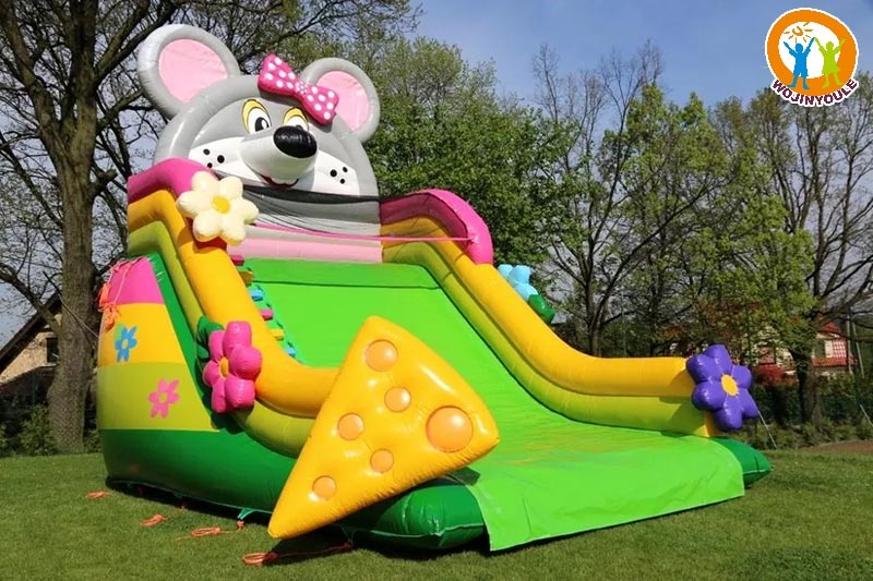 DS267 20ft Tall Blown Mouse Theme Inflatable Dry Slide