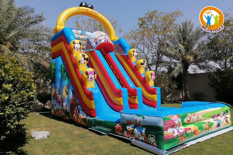 WS261 Disney Theme Inflatable Water Slide with Pool Set