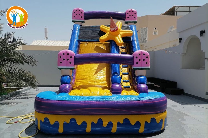 WS266 Ice Cream Inflatable Water Slide with Pool Set