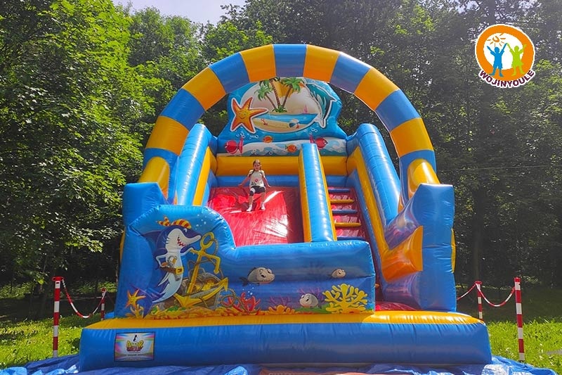 DS196 23ft Shark Pirate Theme Inflatable Dry Slide