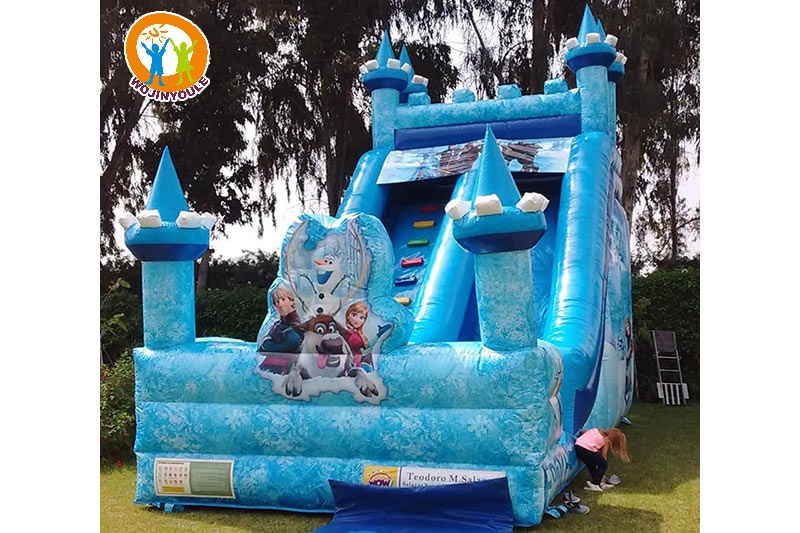 DS274 20ft Tall Frozen Inflatable Dry Slide