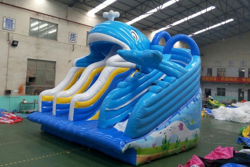 2019 Whale Inflatable Water Park with Pool Slidesombos, Slides ...