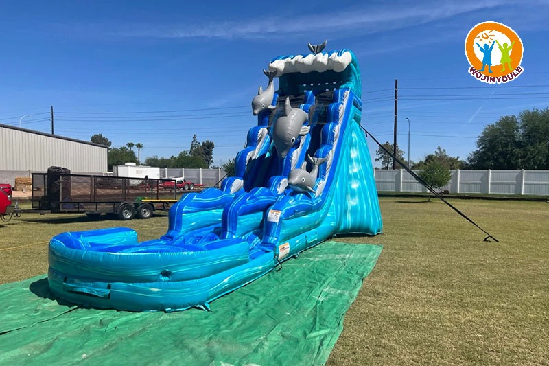 WS284 20ft Dolphin Single Lane Inflatable Water Slide with Pool
