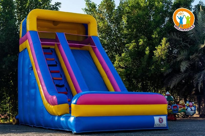 DS306 20ft Tall New Rainbow Inflatable Dry Slide