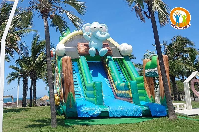 DS310 21ft Tall Safari Animals Inflatable Dry Slide
