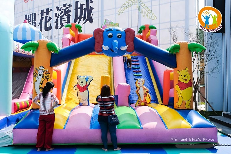 DS320 20ft Tall Winnie the Pooh Inflatable Dry Slide
